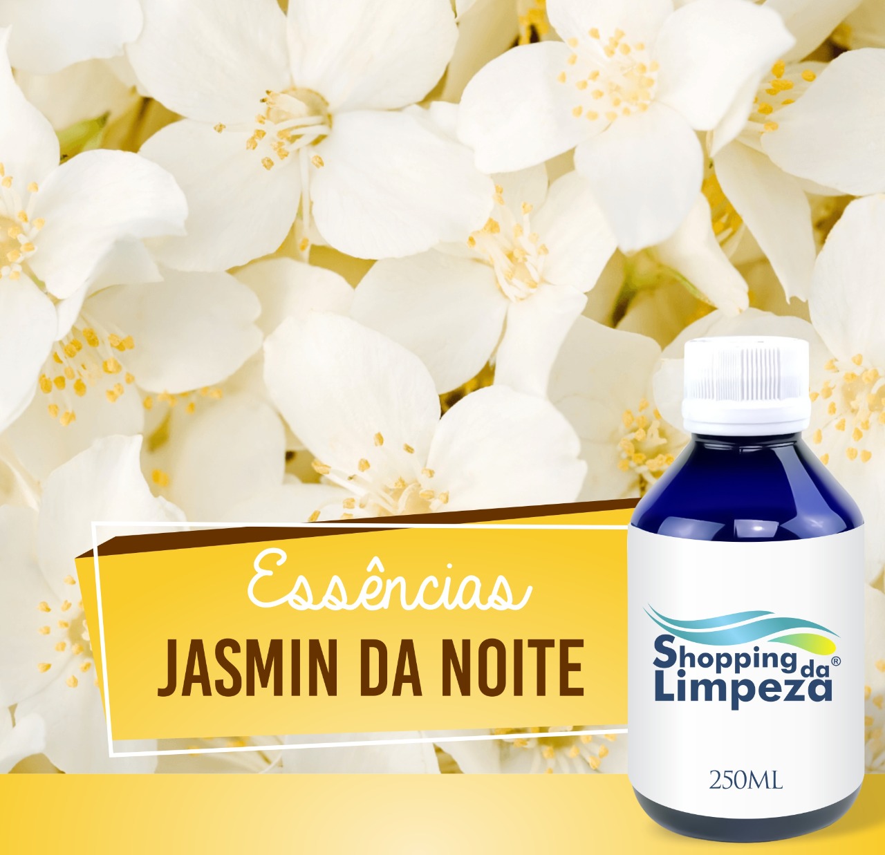 Jasmin da Noite HS Citratus 250ml