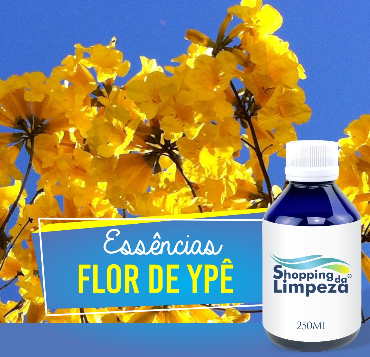 Flor de Ypê AMT 250ml Citratus