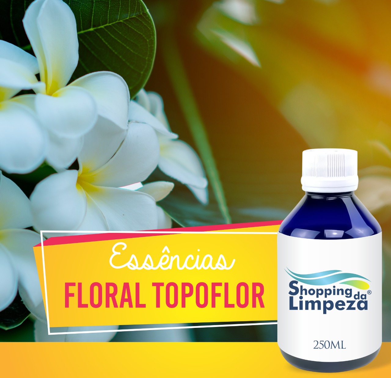 Floral Topoflor HS 250ml Citratus
