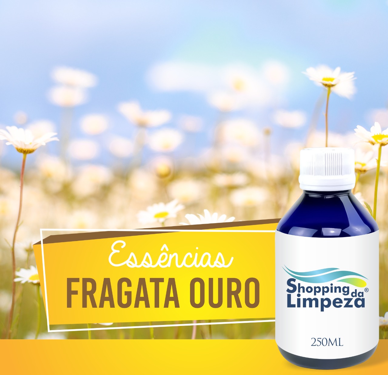 ESSENCIA HS 250ML CITRATUS FRAGATA OURO