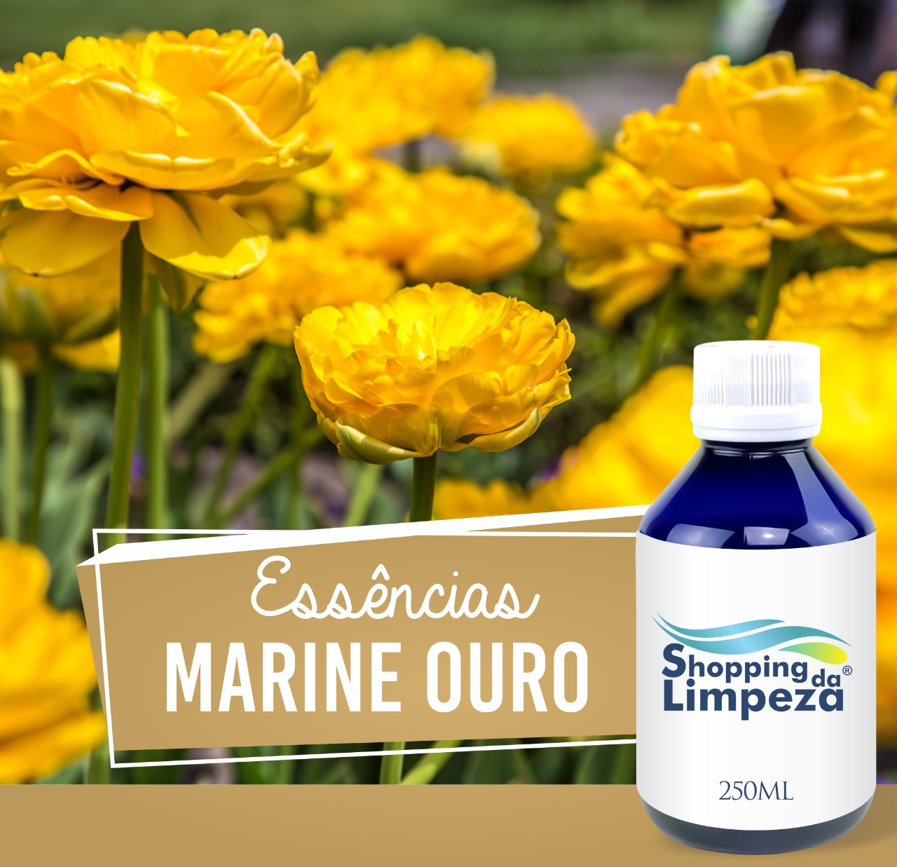 Marine Ouro 250ml Citratus