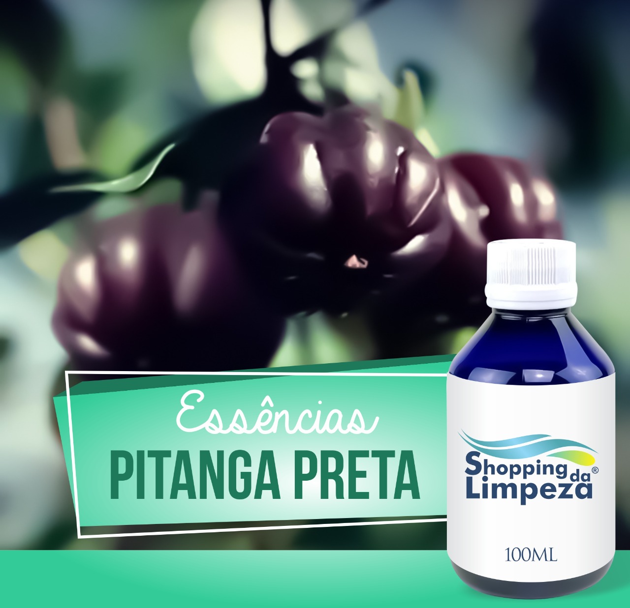 ESSENCIA ZANA 100ML PITANGA PRETA