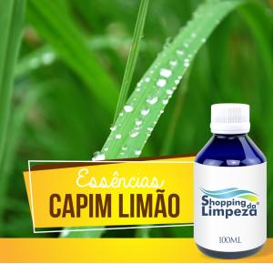 ESSENCIA 100ML CAPIM LIMAO 