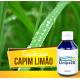 ESSENCIA 100ML CAPIM LIMAO 