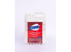 Shampoo Automotivo 5L Zana 1x10